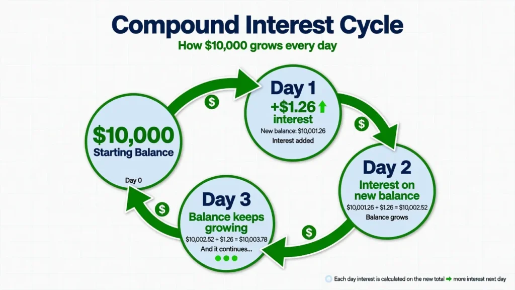 Diagram showing how compound interest is calculated daily on savings account 
balance with each day's interest added to principal